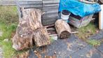 Hout te koop - Stammen, Blokken en Takken, Tuin en Terras, Haardhout, Minder dan 3 m³, Ophalen, Overige houtsoorten, Stammen