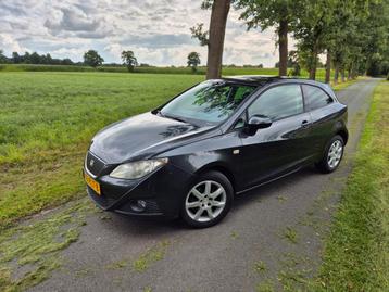 Seat Ibiza 1.2 TDI 55KW Ecomotive 2011 Grijs beschikbaar voor biedingen