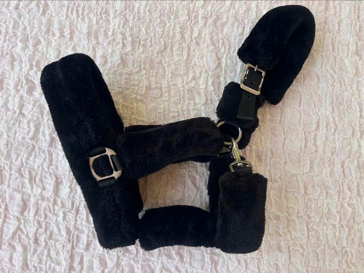 Paarden Halsters te koop!, Dieren en Toebehoren, Paarden en Pony's | Hoofdstellen en Tuigage, Gebruikt, Recreatie, Ophalen of Verzenden