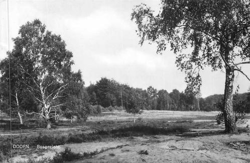(380-036-017) Doorn Bosgezicht, Verzamelen, Ansichtkaarten | Nederland, Utrecht, Verzenden