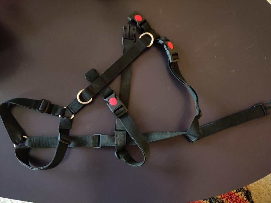 Antiontsnappings hondentuig, Dieren en Toebehoren, Ophalen of Verzenden, Zo goed als nieuw, Hondenriem