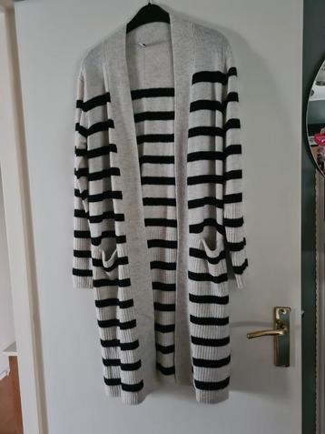 Gestreept Nieuw!!  Vest van HEMA - Maat M beschikbaar voor biedingen