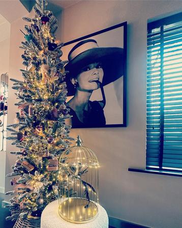 Intratuin kerstboom beschikbaar voor biedingen