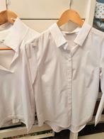 5 Witte katoenen damesblouses en 1 groene, Ophalen of Verzenden, Zo goed als nieuw, Maat 38/40 (M), Wit