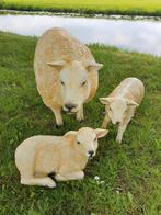 Set Texelse Schapen, Ophalen, Nieuw, Kunststof, Dierenbeeld