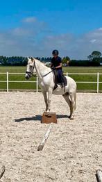 Ponyweekend op Aanvraag – Jouw Eigen Paardenavontuur!, Paardrijles of Ponykampen