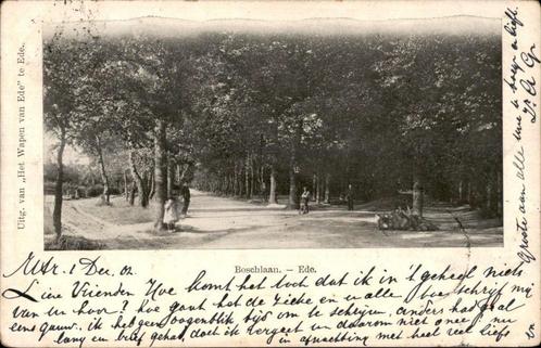 Ede Boschlaan  st 1902, Verzamelen, Ansichtkaarten | Nederland, Gelopen, Gelderland, Voor 1920, Verzenden