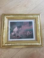 Hondenprent in gouden lijst, Ophalen, Gebruikt, Print, Minder dan 50 cm