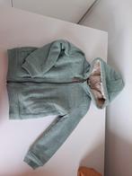 Mint groen trui met teddy, Kleding | Dames, Ophalen of Verzenden, Zo goed als nieuw, Groen