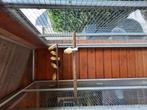 Waterslagers  te koop, Dieren en Toebehoren, Vogels | Kanaries, Mannelijk, Kleurkanarie