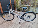 Fiets 20 inch 6-9 jaar. Opknappertje., Ophalen, Gebruikt, Staal, 16 tot 20 inch