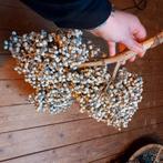 Grote Dadeltak - Decoratief en Natuurlijk, Ophalen of Verzenden, Zo goed als nieuw