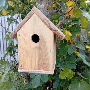 Grenen nestkastjes  beschikbaar voor biedingen