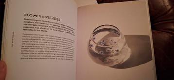 Plants for the People - Kruiden en Geneeskunde beschikbaar voor biedingen