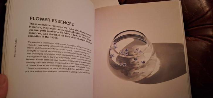 Plants for the People - Kruiden en Geneeskunde, Boeken, Gezondheid, Dieet en Voeding, Zo goed als nieuw, Kruiden en Alternatief