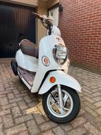 Kymco Sento Blauwe Plaat - Goed Blok!, Fietsen en Brommers, Brommeronderdelen | Scooters, Ophalen of Verzenden, Gebruikt, Overige typen