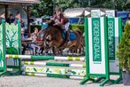 Kinder sport b pony!, Dieren en Toebehoren, Pony's, Gechipt, Ruin, Springpony, L