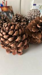 Dennenappels groot Pijnboom, Ophalen of Verzenden, Zo goed als nieuw