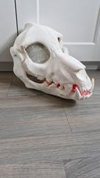 Dino masker 3d geprint, Ophalen of Verzenden, Zo goed als nieuw, Overige typen