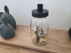 Kandelaar pot met eitjes, *, *, Nieuw, Ophalen of Verzenden