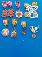 Carnavalsmedaille Lummel Kribke 7st Mestreech, Ophalen of Verzenden, Overige materialen