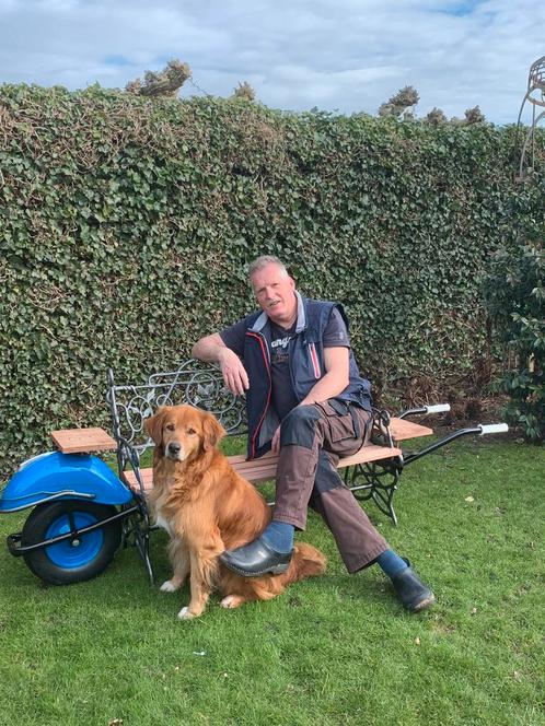Hondentrainer., Diensten en Vakmensen, Dieren | Honden | Verzorging, Oppas en Les, Training of Cursus