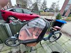 Babboe Mini Electric Cargo Bike, Ophalen, 1 kind