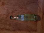Coca Cola flesje, Ophalen of Verzenden, Zo goed als nieuw, Glas of Glazen, Overige merken