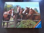 Vintage puzzel paarden 1000 Ravensburger 1978, Gebruikt, Ophalen of Verzenden