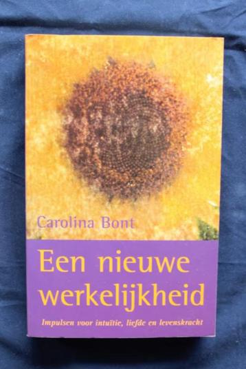 Een nieuwe werkelijkheid - Carolina Bont beschikbaar voor biedingen