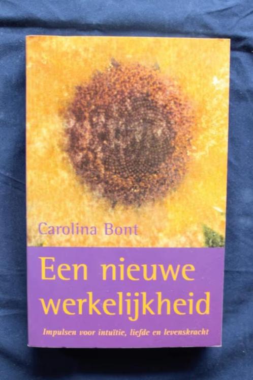 Een nieuwe werkelijkheid - Carolina Bont, Boeken, Psychologie, Zo goed als nieuw, Ophalen of Verzenden