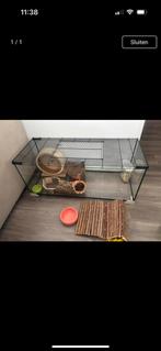 Hamsterkooi hamster scaping, Dieren en Toebehoren, Knaagdieren en Konijnen | Hokken en Kooien, Kooi, Gebruikt, Hamster, 75 tot 110 cm