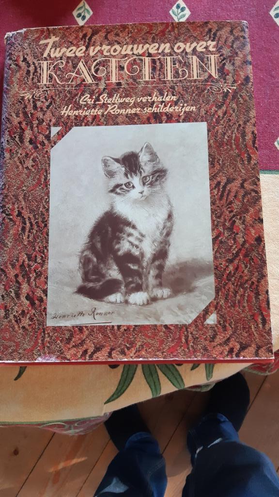 Twee vrouwen over katten. Cri Stellweg verhalen en Henriet, Boeken, Overige Boeken, Gelezen, Ophalen of Verzenden