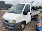 2003 Fiat Ducato Bedrijfswagen, Auto's, Gebruikt, Overige brandstoffen, Bedrijf, Handgeschakeld