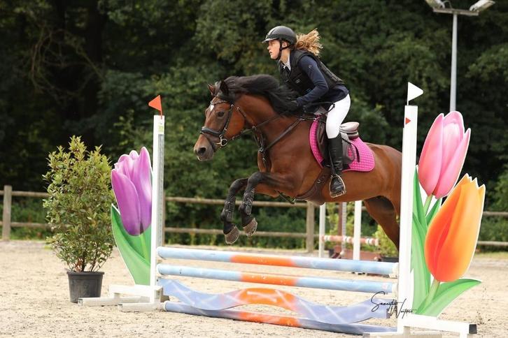 Sportieve mooie D-Pony, Dieren en Toebehoren, Pony's, Merrie, B, D pony (1.37m tot 1.48m), Springpony, 7 tot 10 jaar, Met stamboom