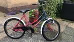 Meisjesfiets Union Speedy 20 inch, terugtraprem, Ophalen of Verzenden, Zo goed als nieuw, 20 inch