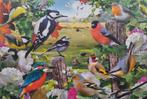 Puzzel vogels in de natuur, Hobby en Vrije tijd, Ophalen of Verzenden, 500 t/m 1500 stukjes, Zo goed als nieuw, Legpuzzel