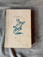 P. Nowee Arendsoog no 16, Ophalen of Verzenden, Gelezen, Fictie