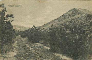 (388-361-013) Harger Zeeweg beschikbaar voor biedingen