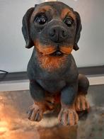 Rottweiler beeld, Ophalen of Verzenden, Gebruikt, Hond of Kat, Beeldje of Figuurtje