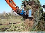 goedkoop verwijderen en afvoeren van coniferen, Tuin en Terras, Planten | Struiken en Hagen, Ophalen of Verzenden, Conifeer, 100 tot 250 cm