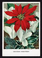 Voor het kind kaart 1960-03-2 kerstster Voerman Jr. (Glans), Verzamelen, Ansichtkaarten | Themakaarten, Ophalen of Verzenden, 1940 tot 1960
