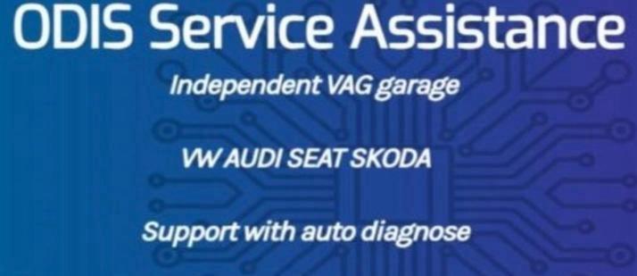 VAG AUTO DIAGNOSE SUPPORT, Auto-onderdelen, Elektronica en Kabels, Audi, Seat, Volkswagen, Skoda, Ophalen