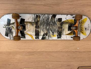 Thunder skateboard  beschikbaar voor biedingen