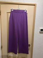 Super mooie broek van Ragno maat S stretch, Paars, Ophalen of Verzenden, Zo goed als nieuw, Maat 36 (S)