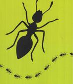 Het spoor bijster - René Turk, Gelezen, René Turk, Ophalen of Verzenden, Nederland