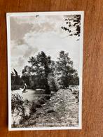 Meeuwenkolonie Leersum. Lichte druk. 1960., Verzamelen, Ansichtkaarten | Nederland, Ophalen of Verzenden, 1940 tot 1960, Gelopen