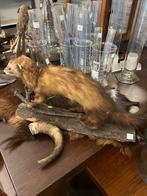 Taxidemie fred, Ophalen, Zo goed als nieuw, Beeldje of Figuurtje