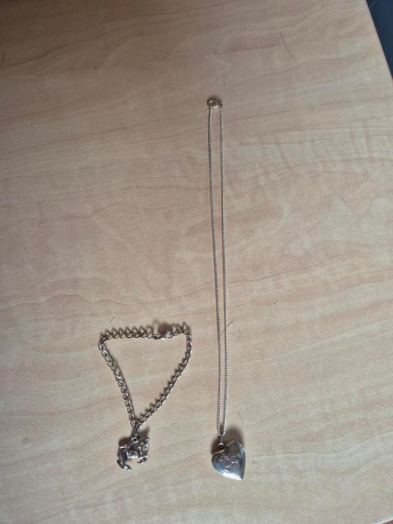 Paarden armband en ketting, Sieraden, Tassen en Uiterlijk, Kettingen, Ophalen of Verzenden, Gebruikt, Zilver, Overige materialen