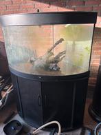 Aquarium juwel 190 liter te koop, Ophalen, Zo goed als nieuw, Leeg aquarium